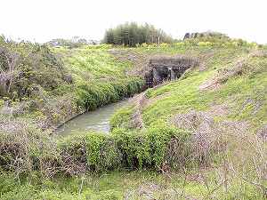 20100428tenjyo (02).jpg